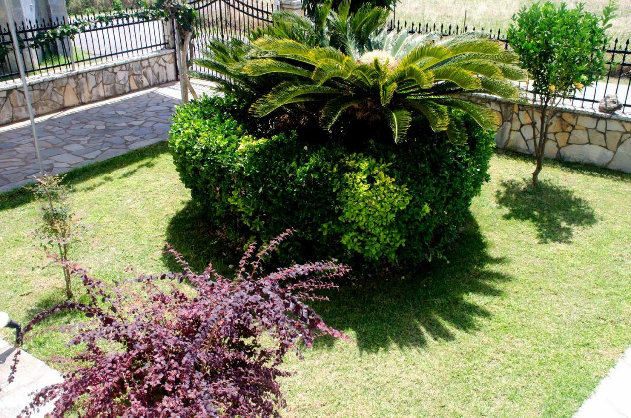 Amalias Place Mytikas  Ngoại thất bức ảnh